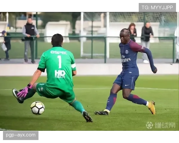 穆萨技术全面性