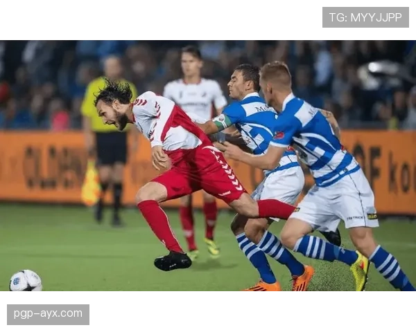 海伦芬球队结构